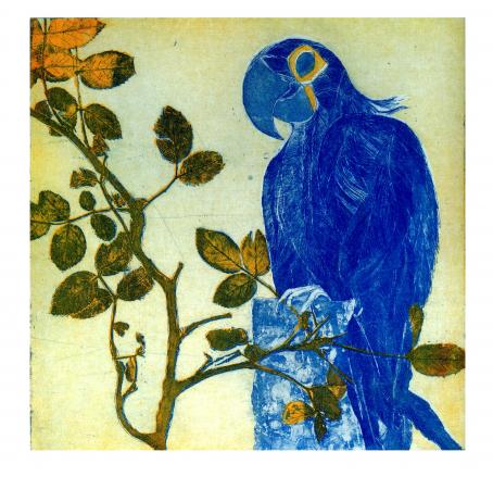 Papagei mit Rosenzweig, Zweiplattendruck, 19 x 19 cm