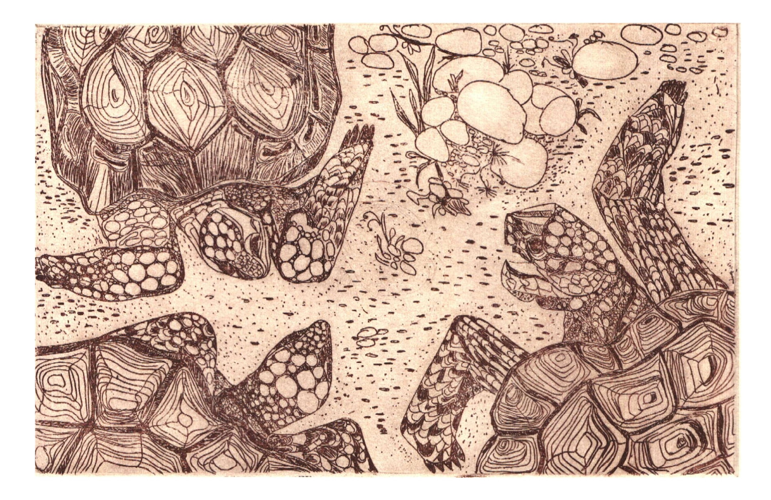 Schildkröten-Chat, 9,5 x 14,5 cm